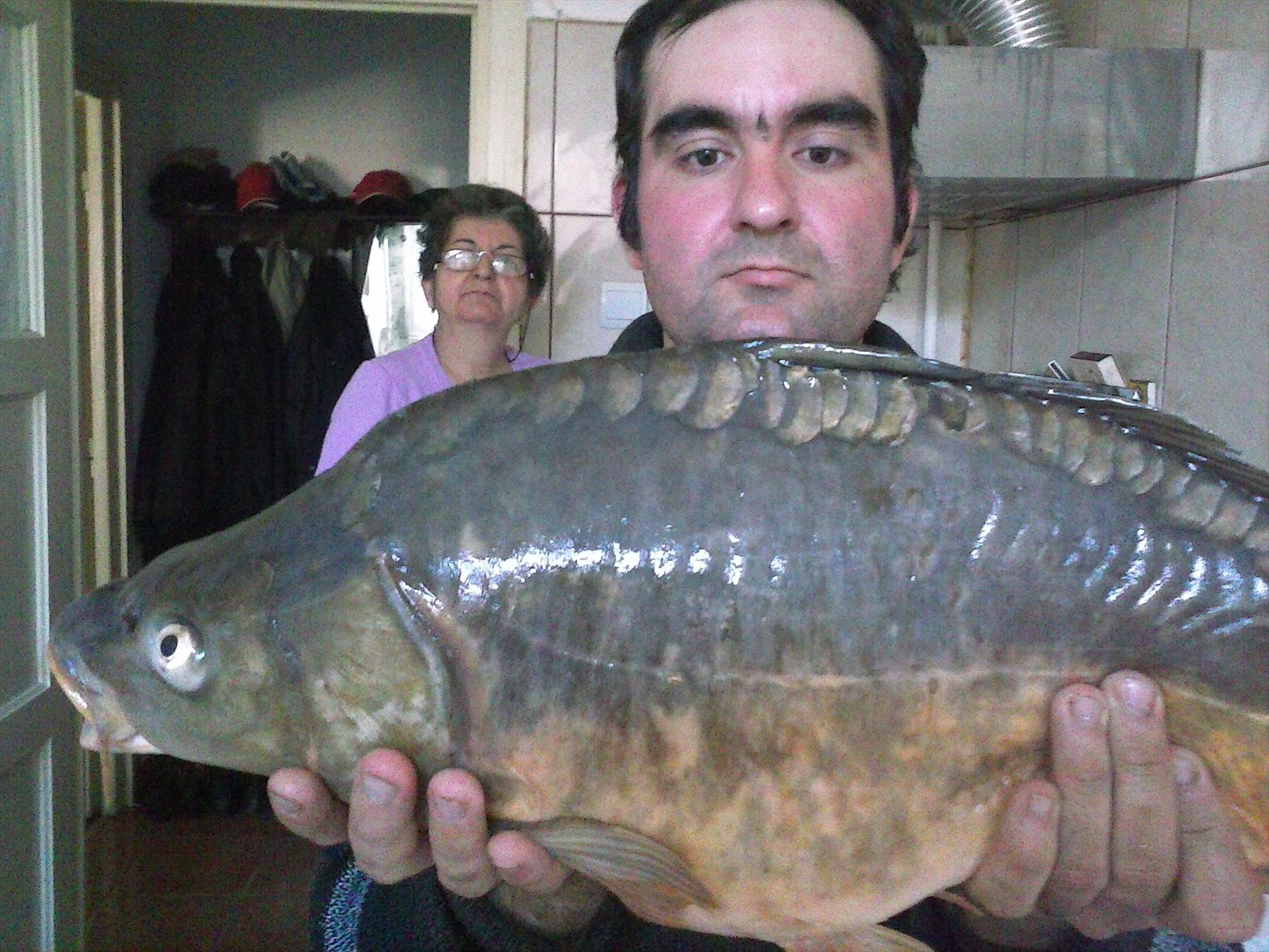 Pleasa 2013 - salonta  4 kg